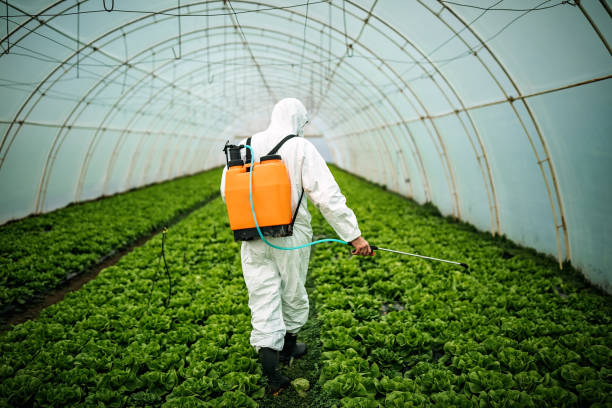 Best Pest Control Treatment  in Blairsville, PA