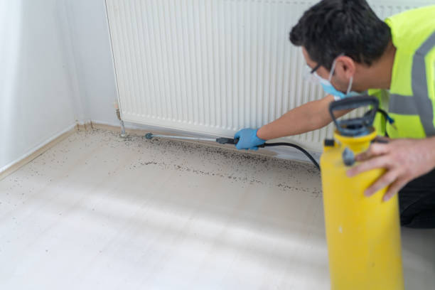 Trusted Blairsville, PA Pest Control Experts