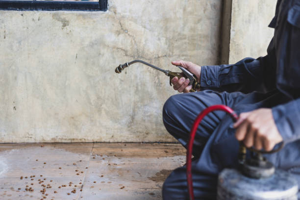 Best Affordable Pest Control Services  in Blairsville, PA